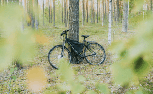 Le vélo représente le sport et la forêt représente l'écologie. Cette photo démontre le sujet de l'article : le sport business face aux enjeux écologique. 